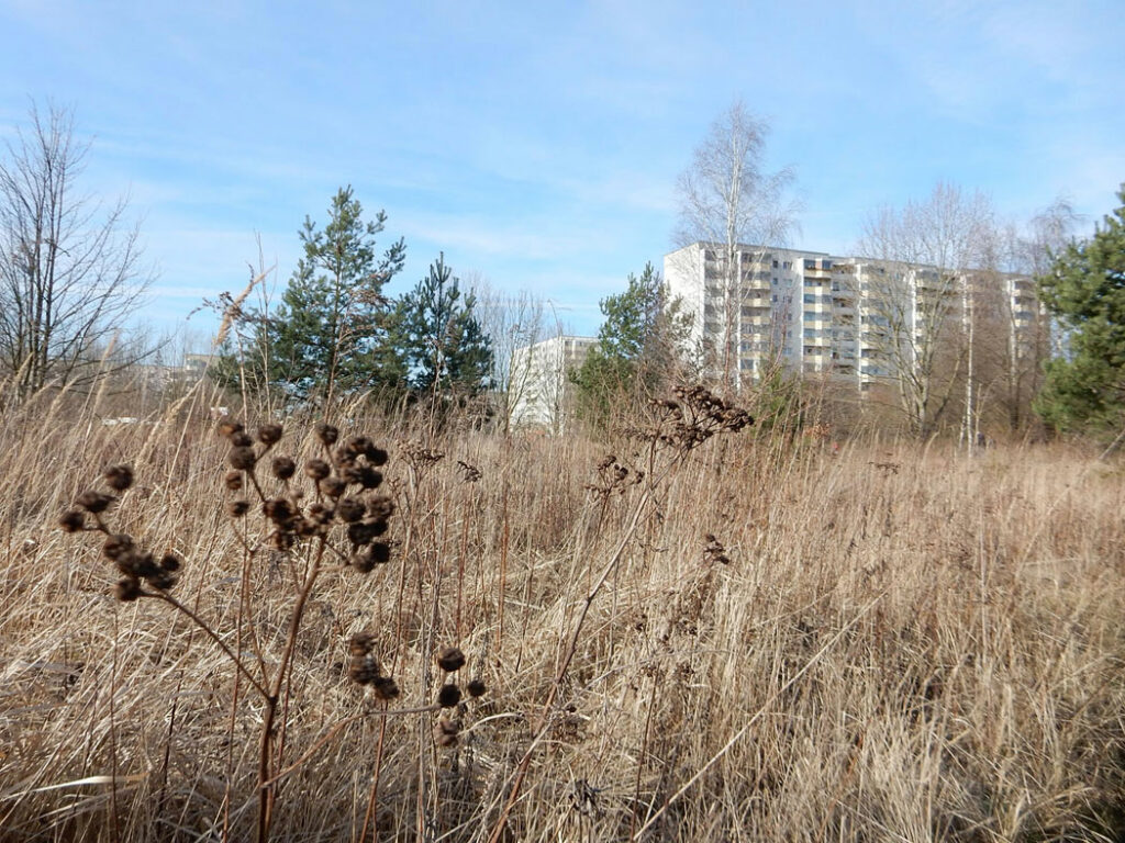 Radtour Berlin Hohenschönhausen - Falkenberg