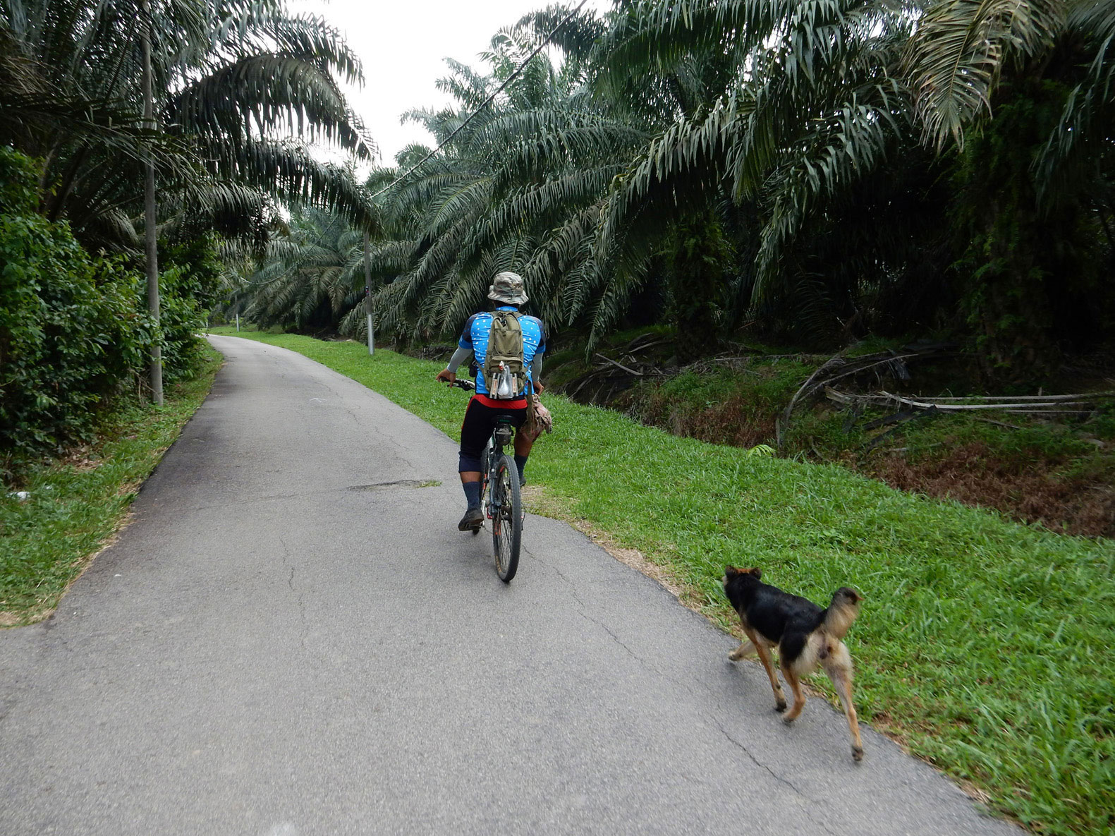 Radtour Melaka Malaysia